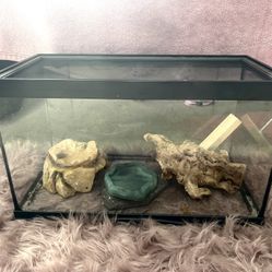 10 Gallon Tank+ Everything Inside