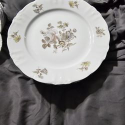 Winterling Schwarzenbach Bavaria Floral Set Of 8