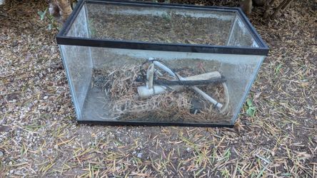 10 gallon Glass Fish Tank Aquarium