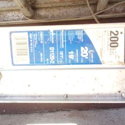 Werner 20' Foot Ladder