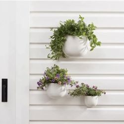 large indoor plant pots with drainage Large Succulent Pot with Drainage, 10 Inch Round Succulent Planter Po   artketty