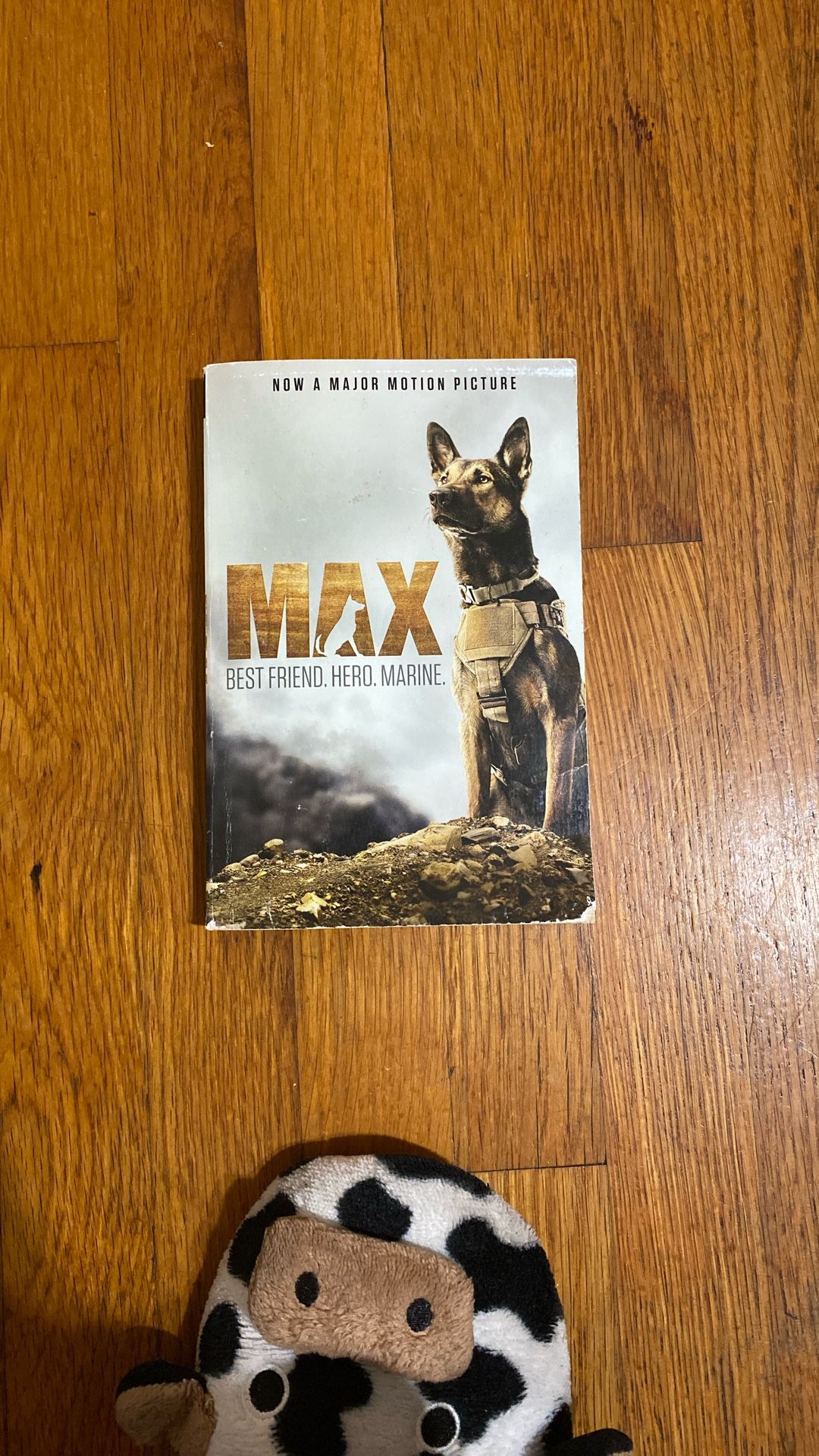 Paperback Of ‘Max’