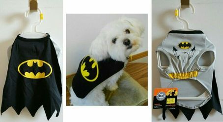 Batman Pet Costume - Small