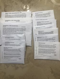 12 Pks Of Garden Vegetable Seeds