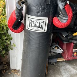 Punching Bag With Gloves 