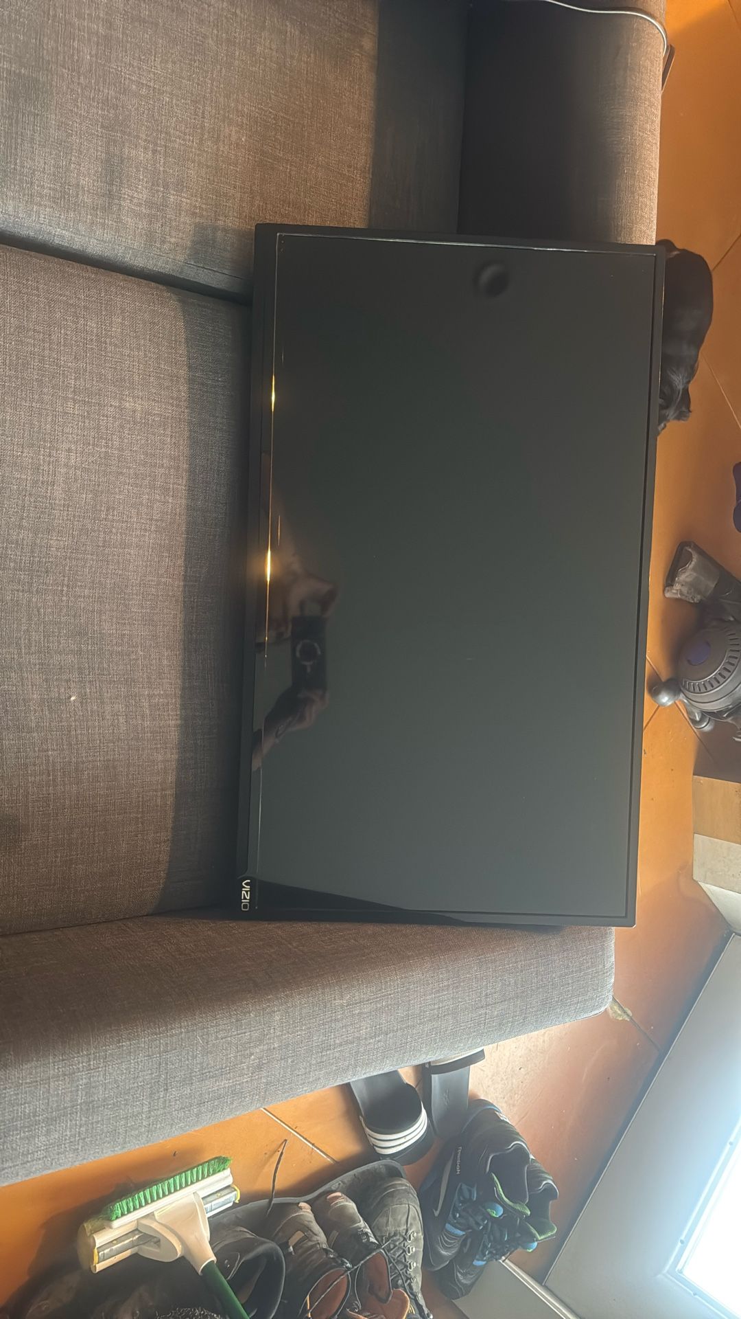 Vizio TV/ Monitor
