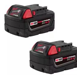 M18 18-Volt Lithium-Ion XC Extended Capacity 5.0 Ah Battery Pack (2-Pack) 782