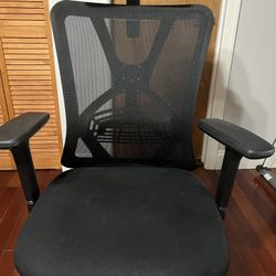 Ergonomic Office Chair Ticova