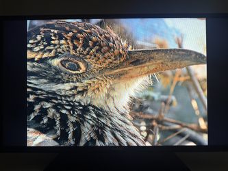 40” Samsung TV