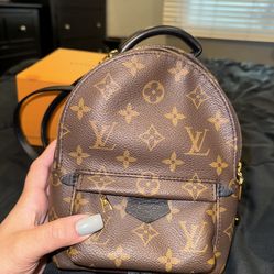 Louis Vuitton Palm Springs Mini back pack/purse!!