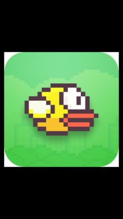 iPad Mini 1 with FLAPPY BIRD