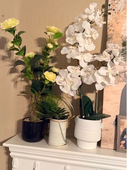 Artificial Plants