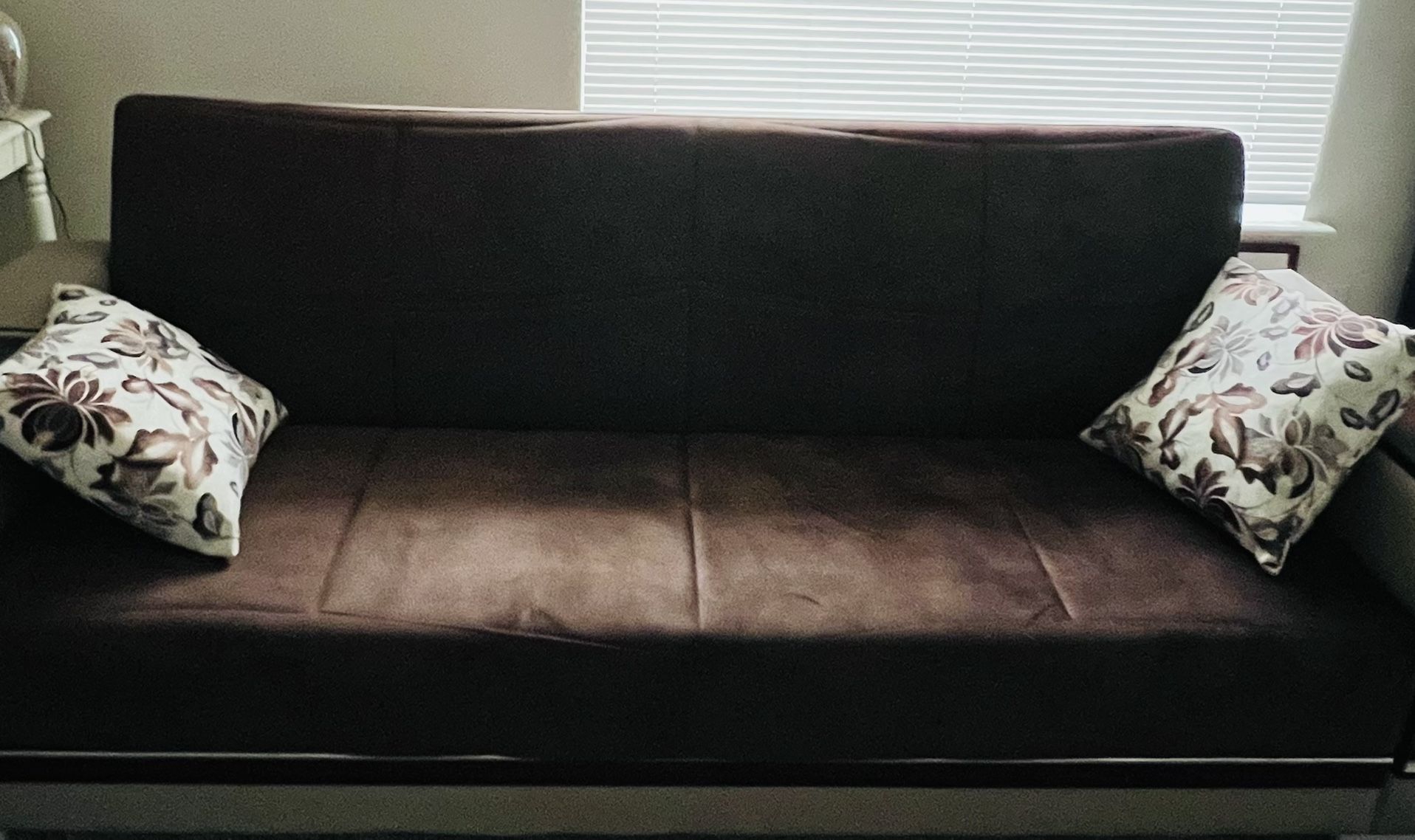 Foldout Sofa