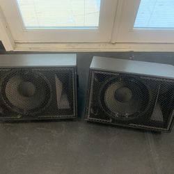 12” Speakers 