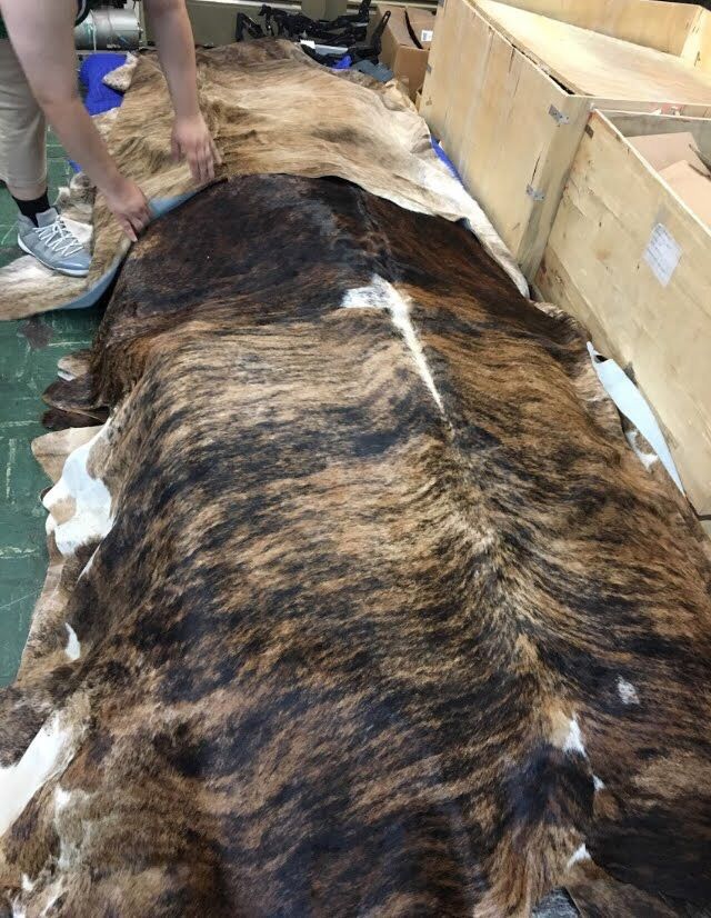 Western decor mounted longhorns, skulls, rugs read description