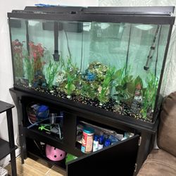 80 Gl Aquarium