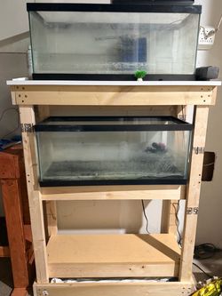 2x 20gallon breeder tank complete set OFFER ME