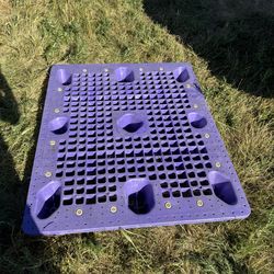 48 x 40 Plastic pallets