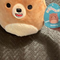 Squishmallows Fuzzy Belly Squad Stokely the Brown Bear 7" NWT