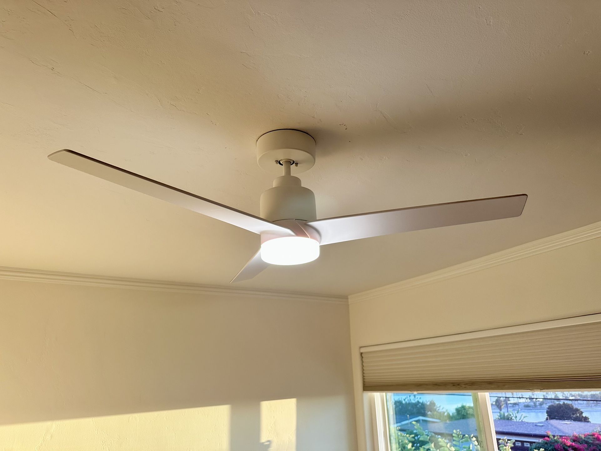 Ceiling Fan