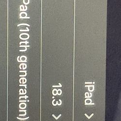 iPad (10th Generation)