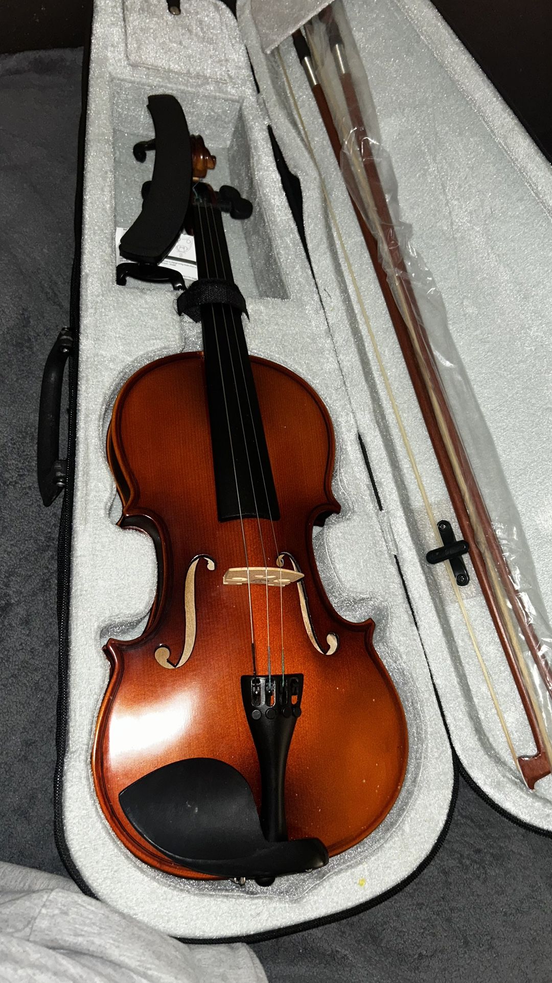Violin