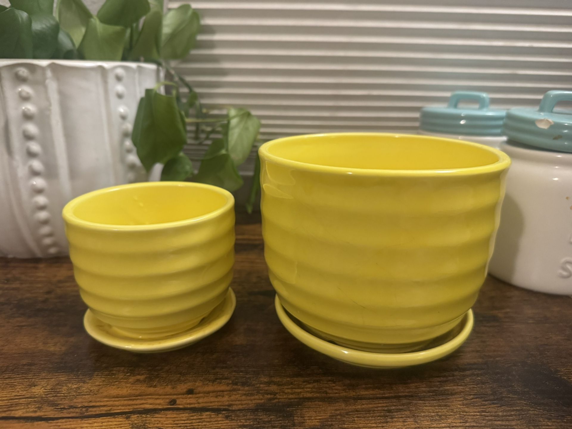 Small Pots 2”-5”