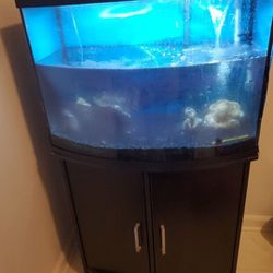 Fish Tank and Cabinet And 1 Ramhorn SNAIL