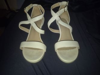 Pashion flats