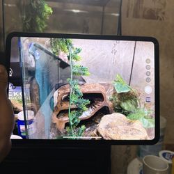 iPad Pro M4 512GB