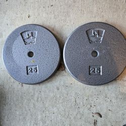 Good condition 25lb pancake style Standard 1inch Weight Plates 