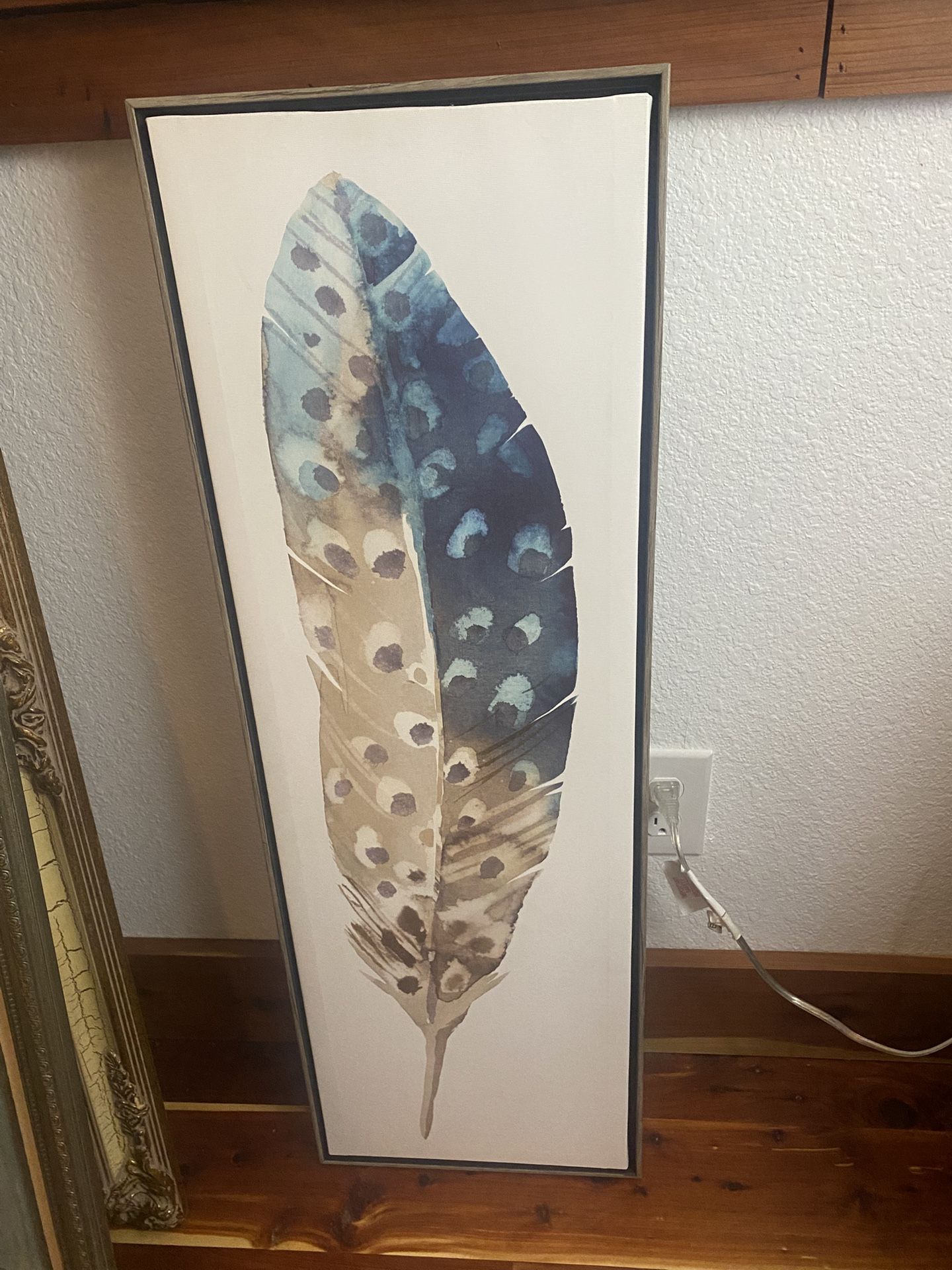 Canvas Feather Picture