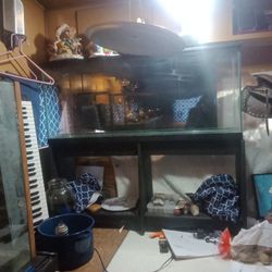 55 Gallon Fish Tank W Stand