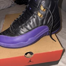 Jordan 12 retro