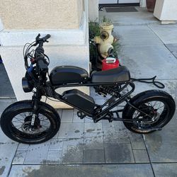Dual motor dual battery Ebike
