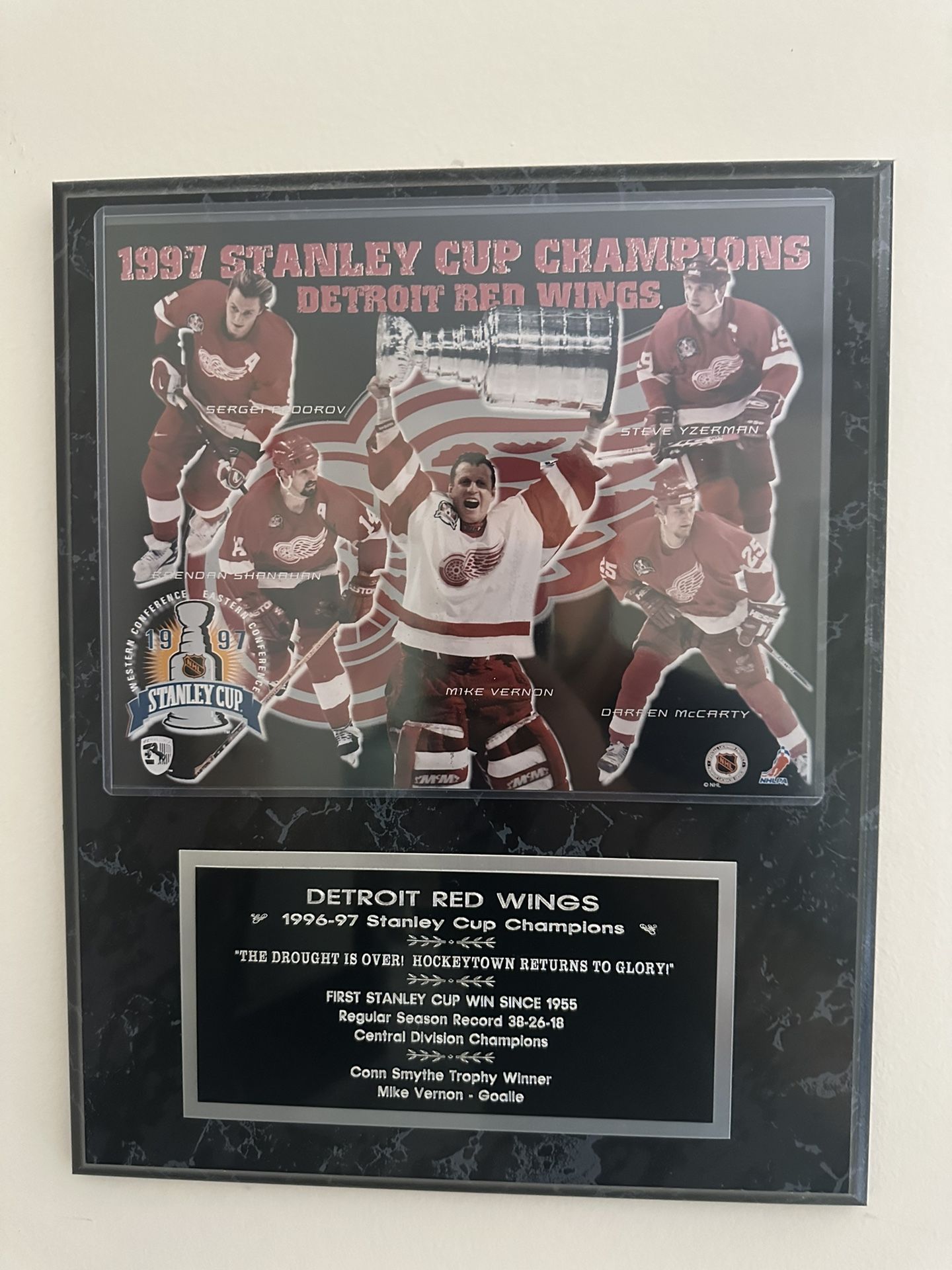 Detroit Red Wings 1996-97 Stanley Cup Plaque