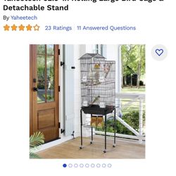 Bird Stand 