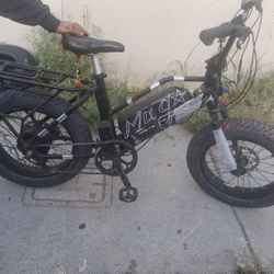 Electric Bike
