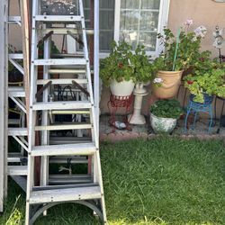 Ladder 6 Ft 