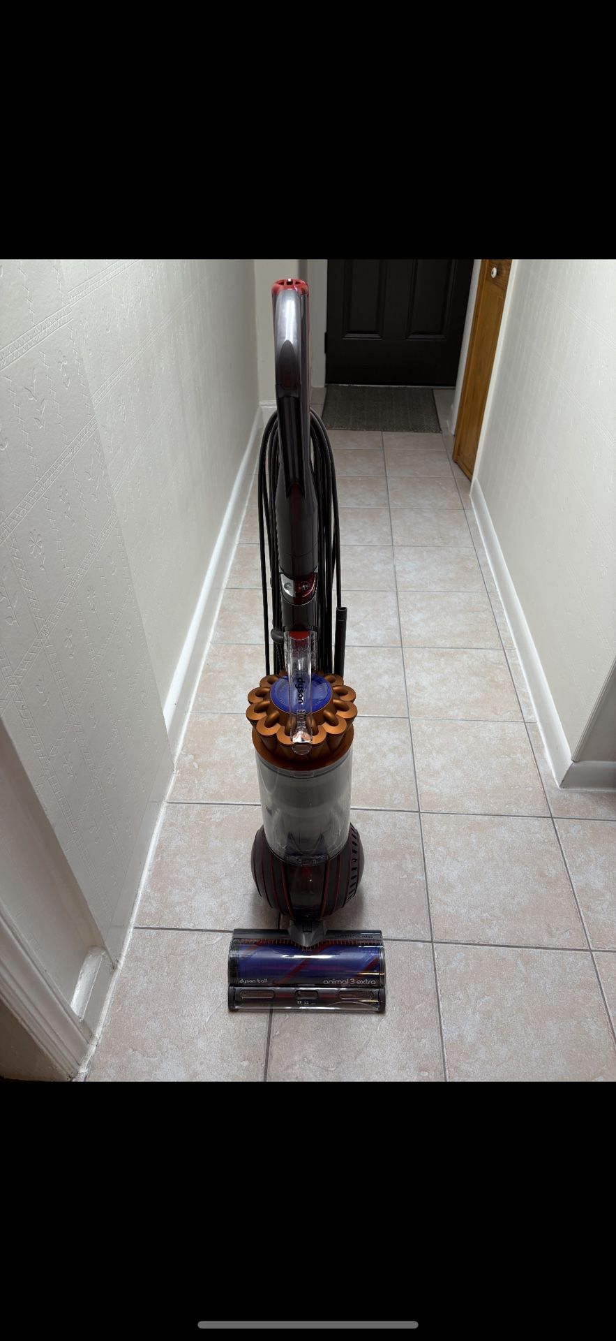 Dyson ball Animal 3 vacuum Cleaner