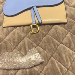 Christian Dior Saddle Wallet On Chain 