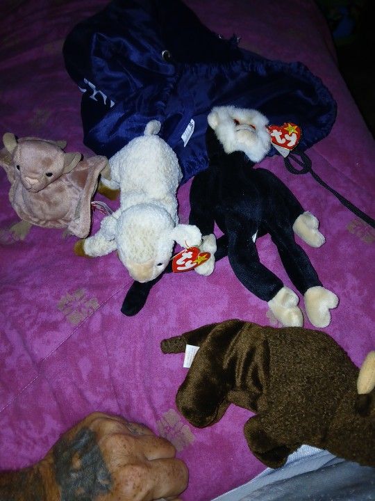 Beanie Babies