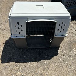 Dog Kennel 