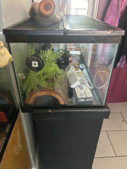 Terrarium/enclosure