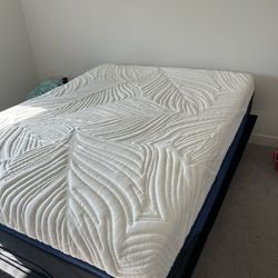 Queen Bed For Sale
