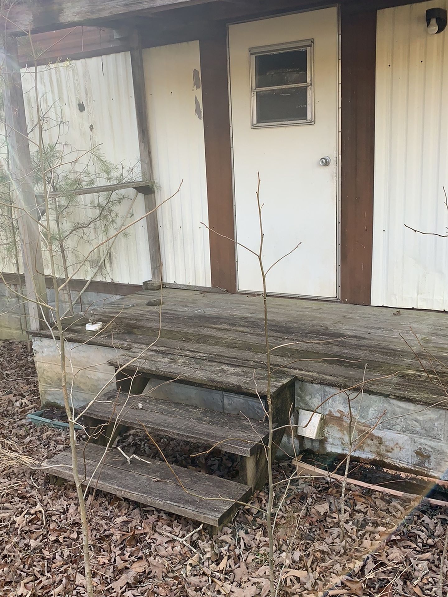 Mobile Home