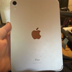 iPad Mini 