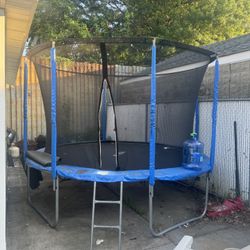 Free Trampoline & Swing 