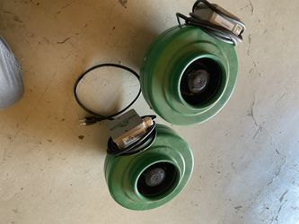 Duck Fan 6 Inch $40