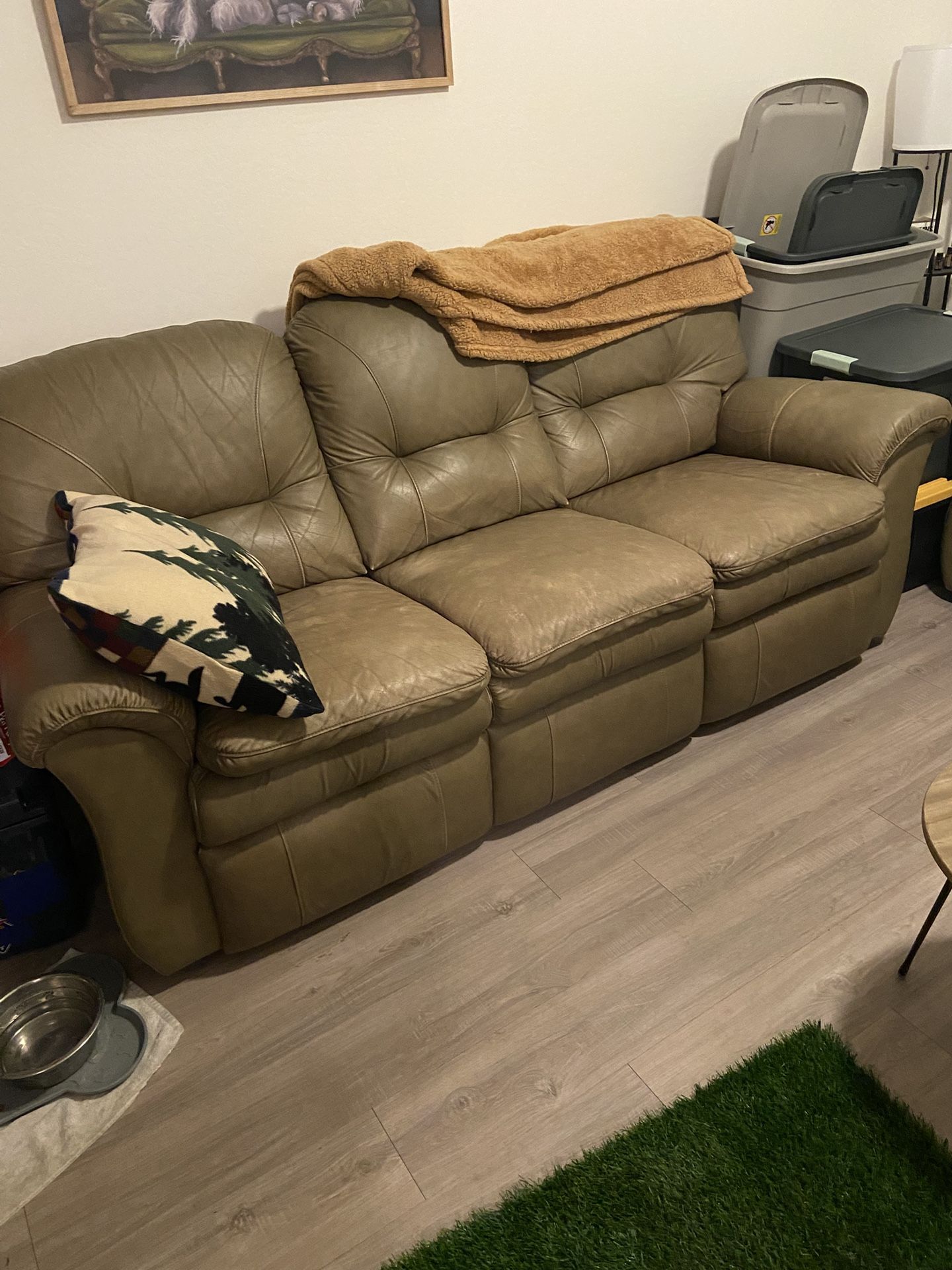Leather Couches